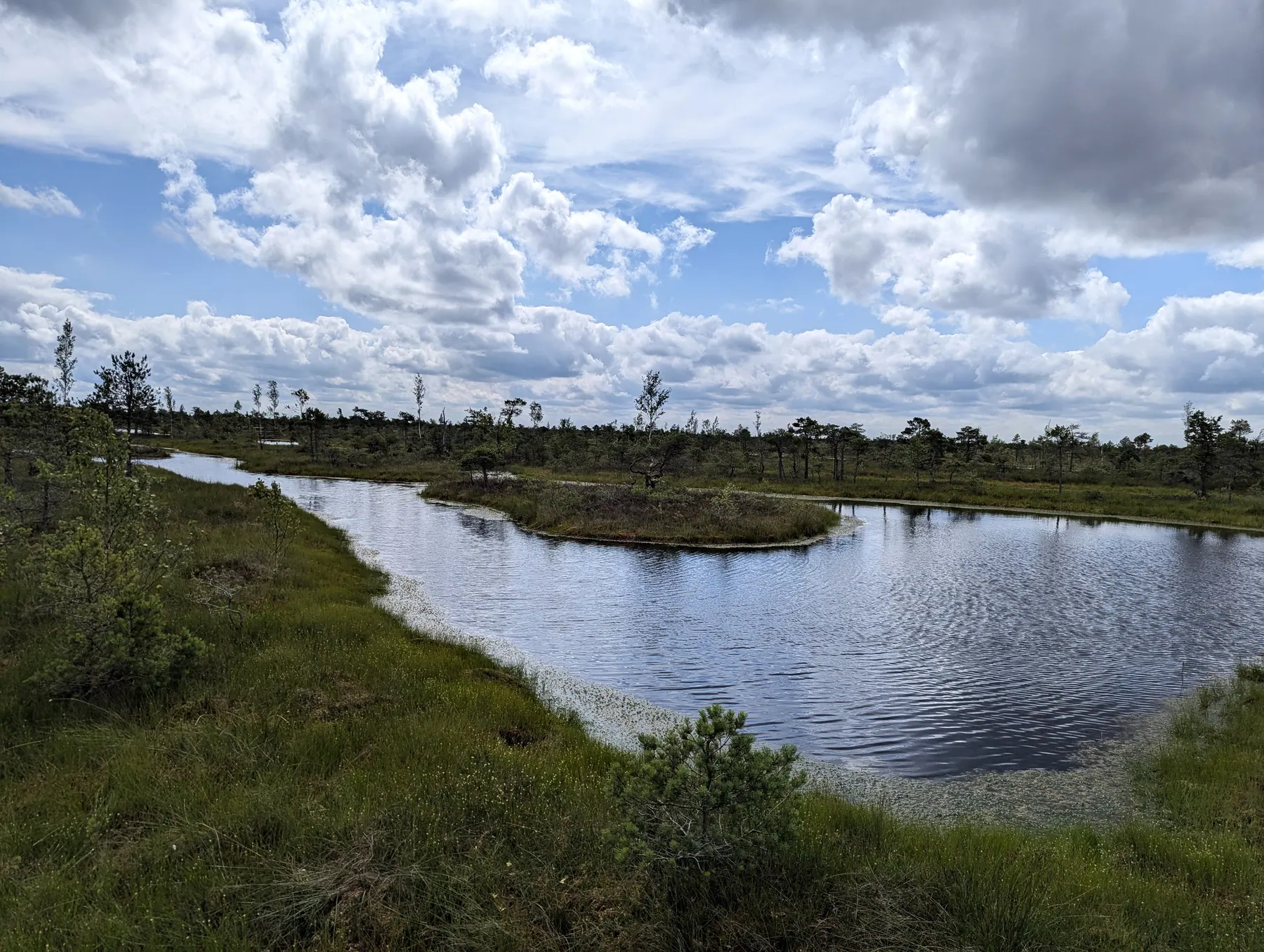 Visitors walking along the Great Ķemeri Bog Boardwalk