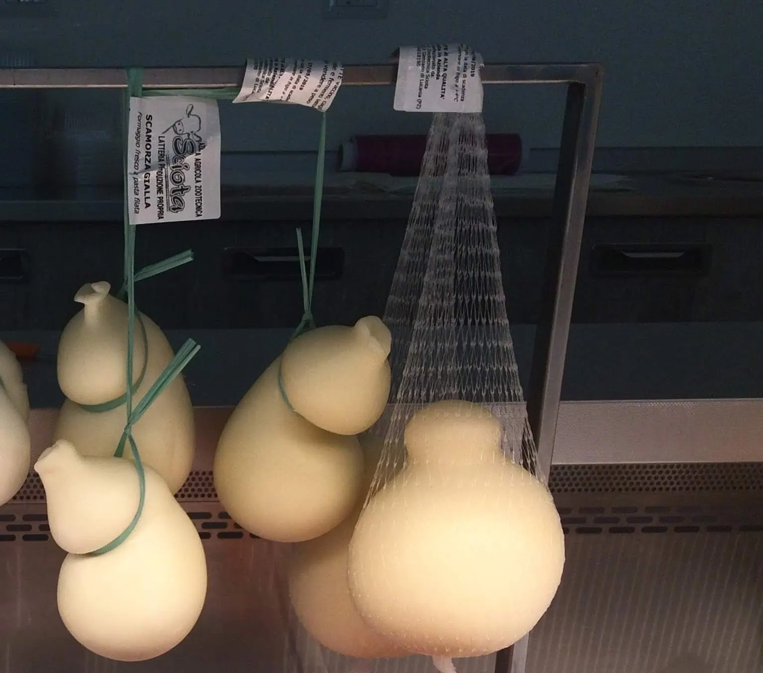 Fresh cheese made in Basilicata