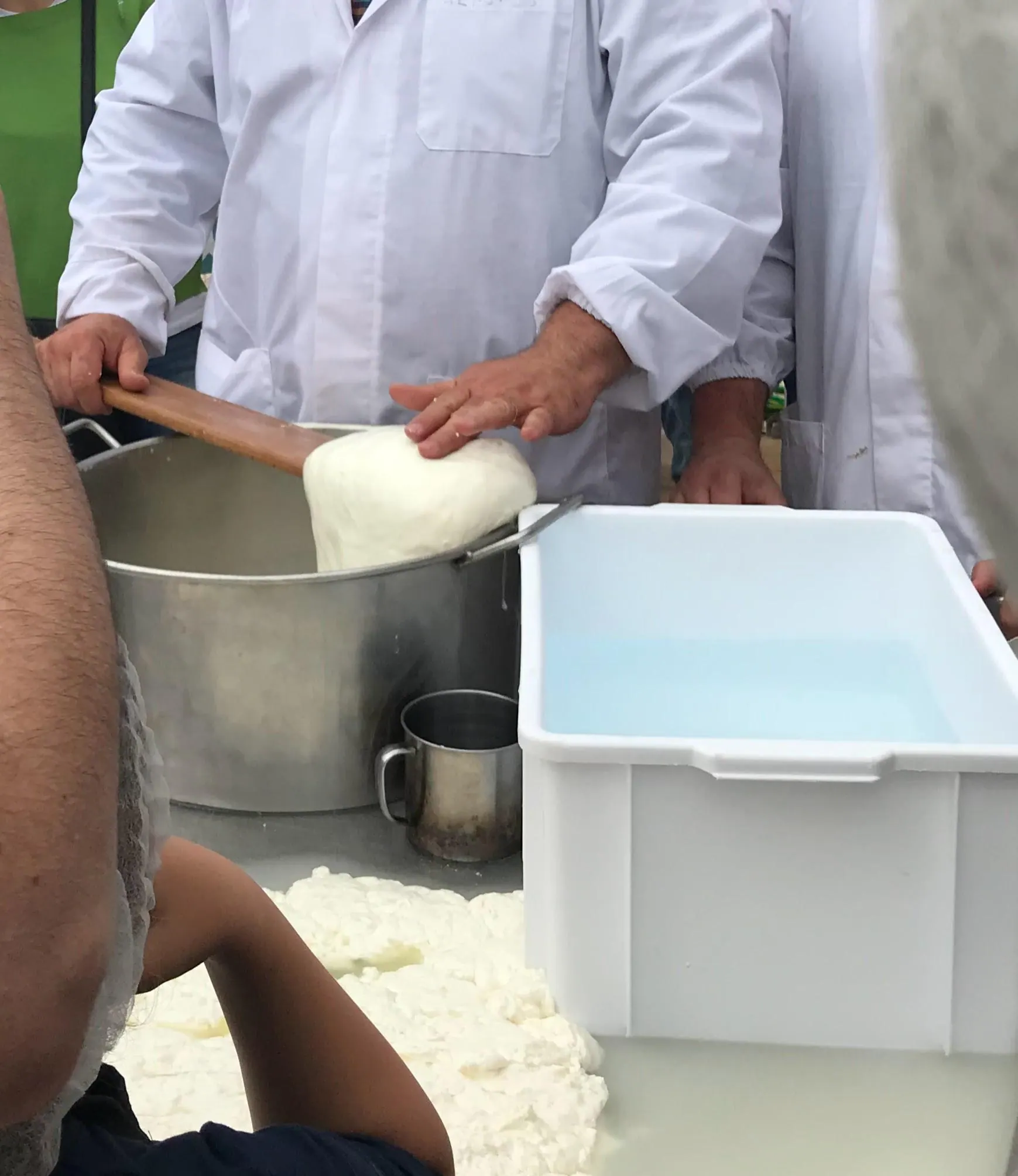 Cheesemakers stretching fresh cheese at a workshop