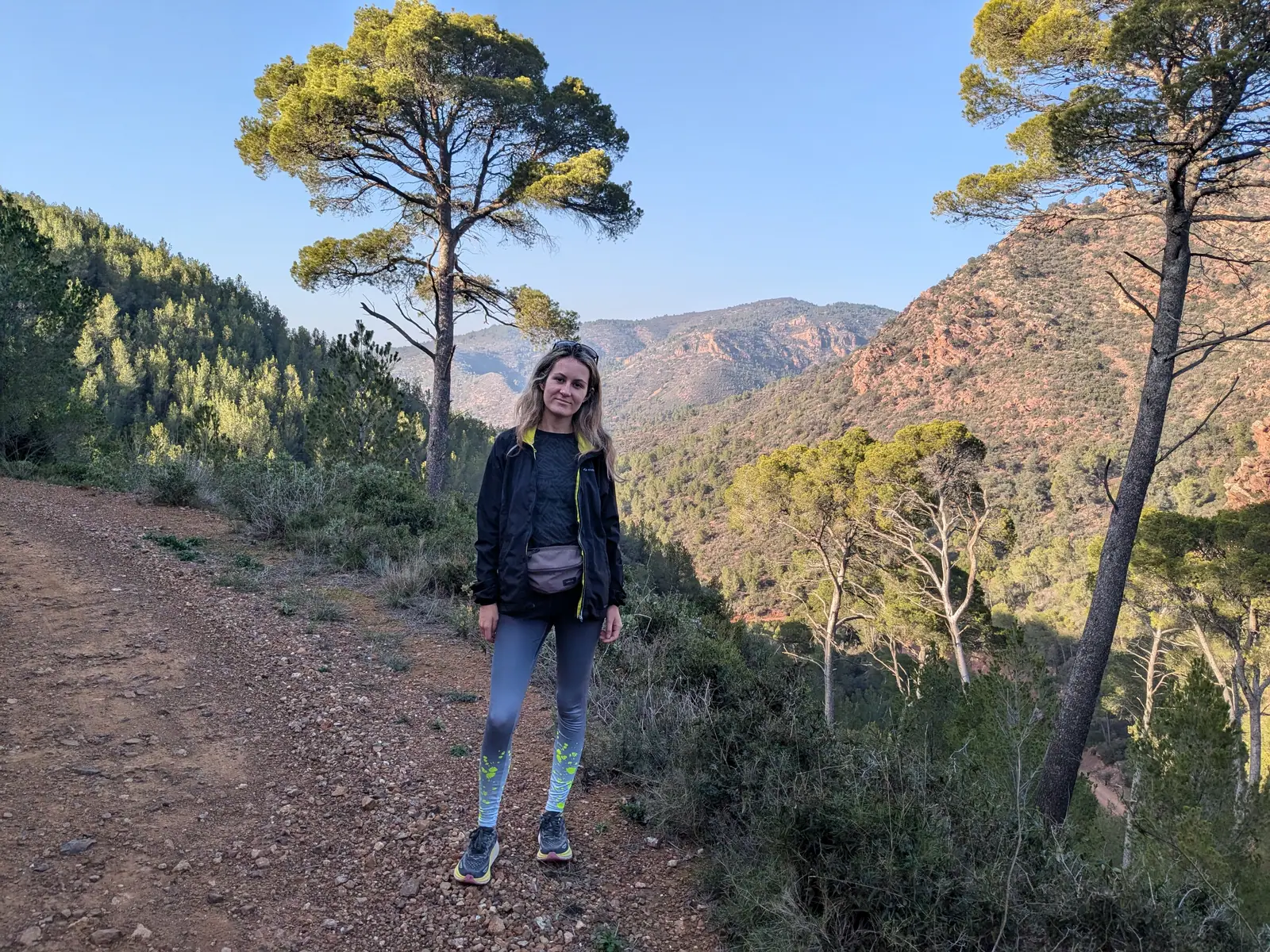 A traveler on a mountain path among pine trees near Portaceli