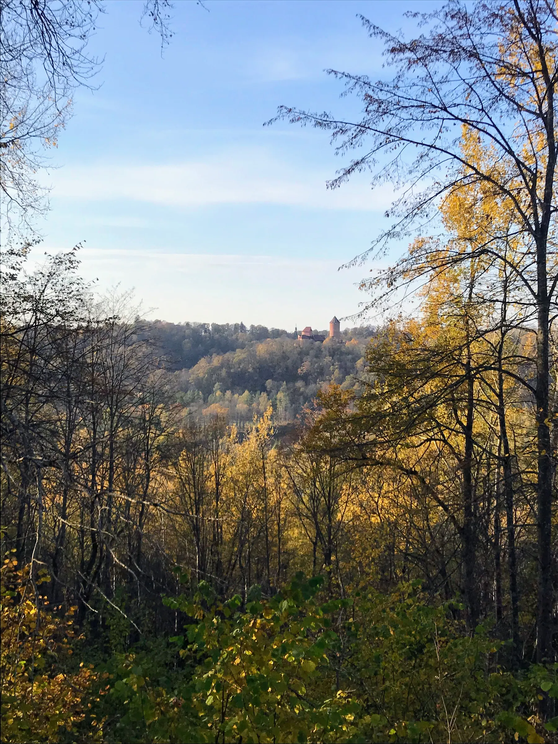 A wide summer view across the forested Gauja Valley from Paradise Hill