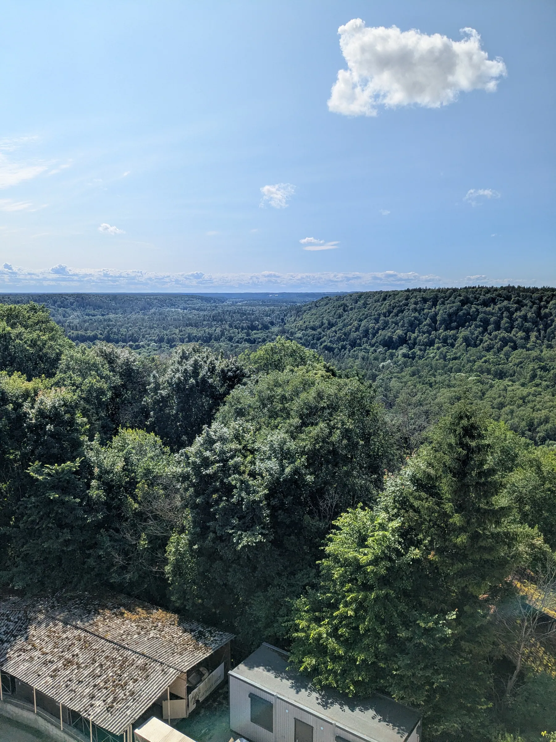The forested setting around Sigulda's bobsleigh track