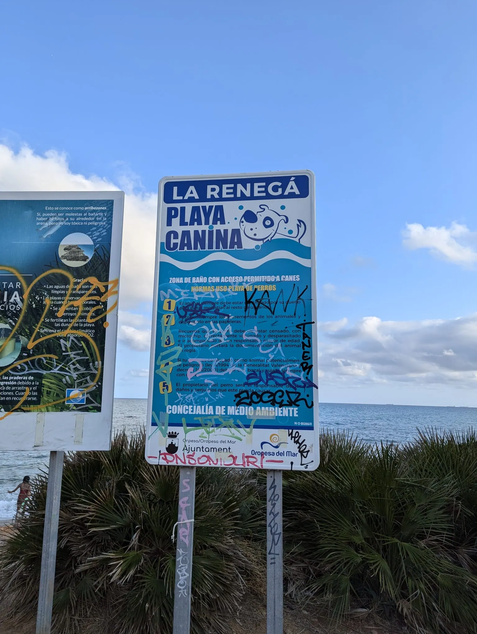 La Renegà Playa Canina sign beside the sea near Oropesa del Mar